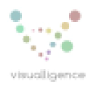 visualligence