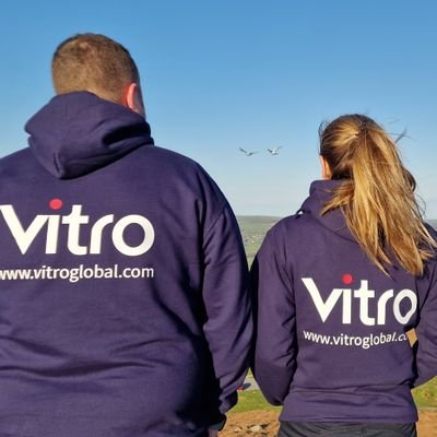 Vitroglobal