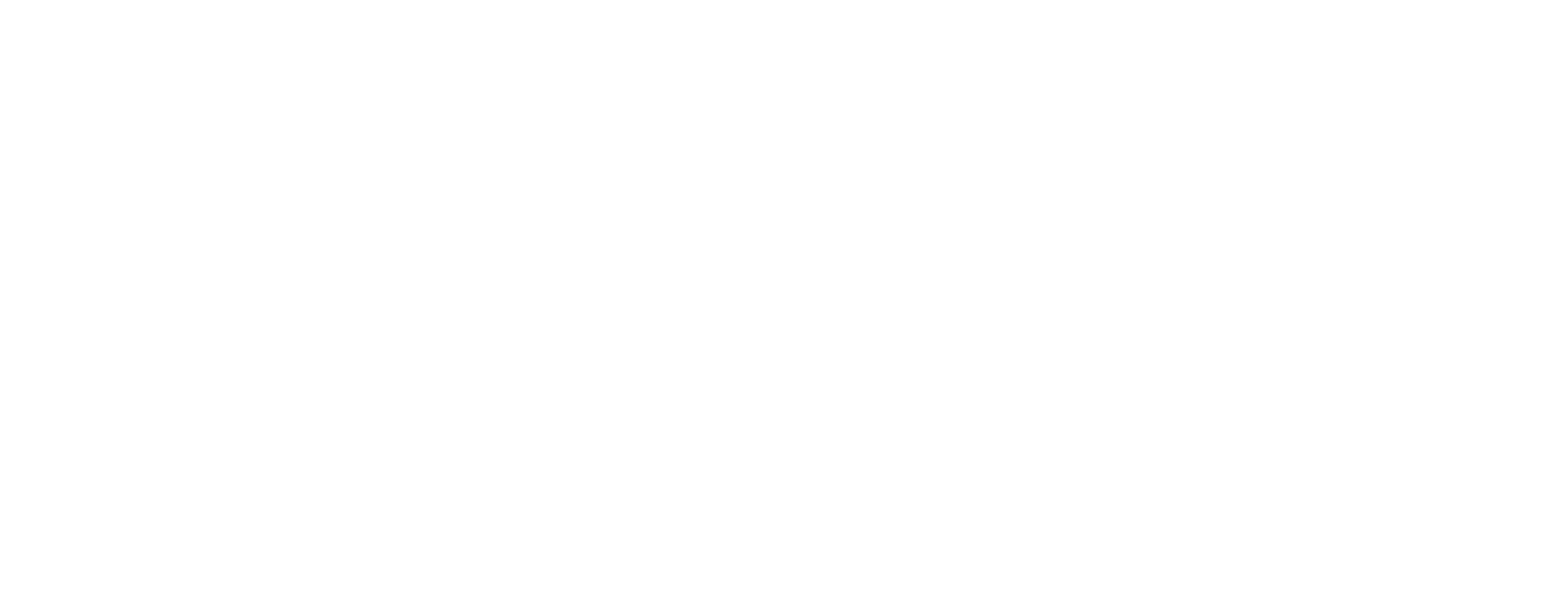 Vivid Management