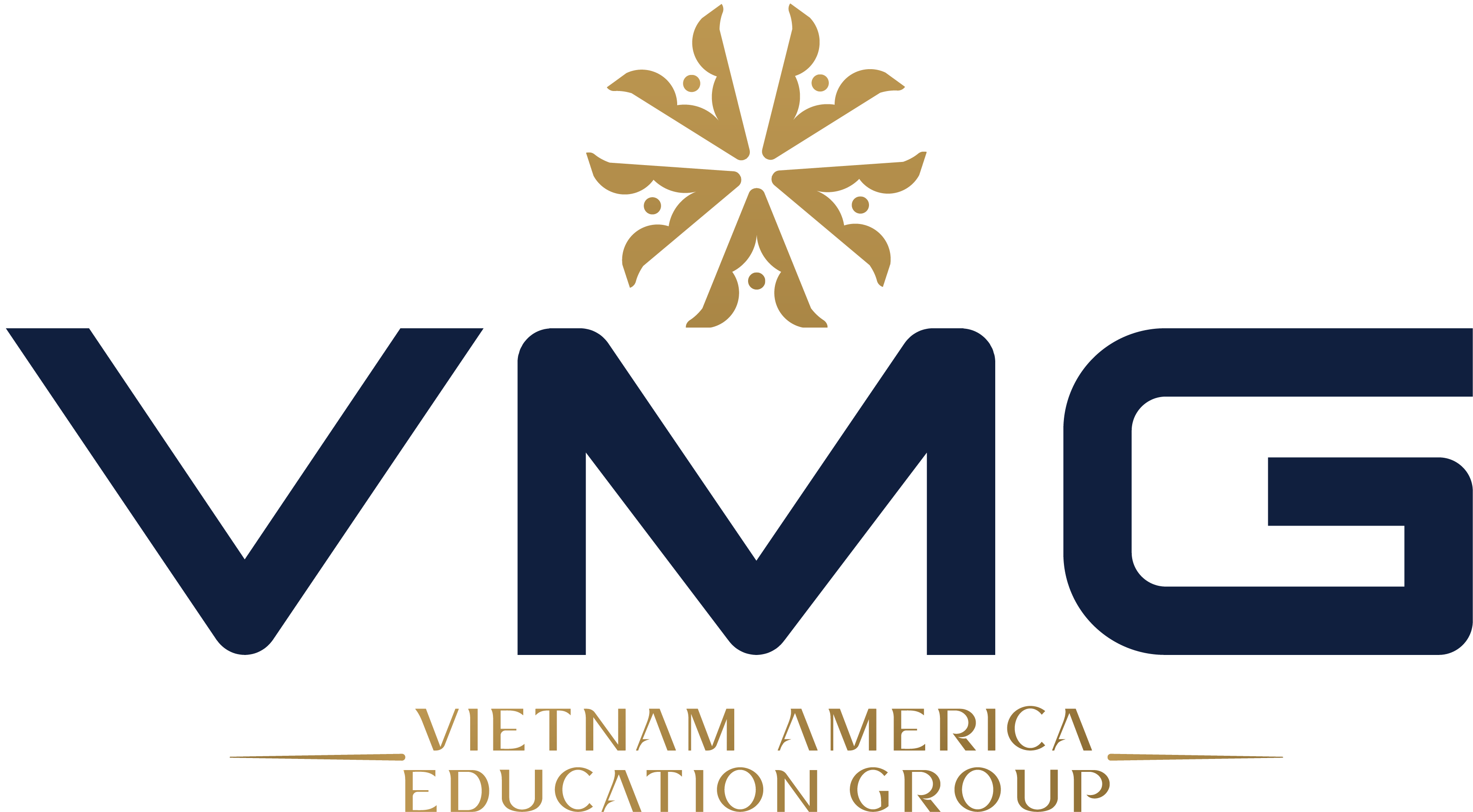 Vietnam America Education Group