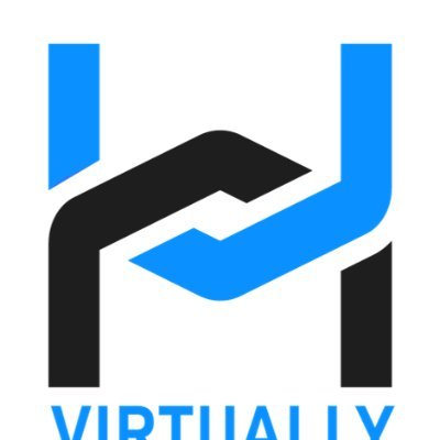 Virtually Managed IT Solutions LLC