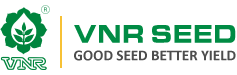 VNR Seeds Pvt