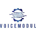 Voicemodule