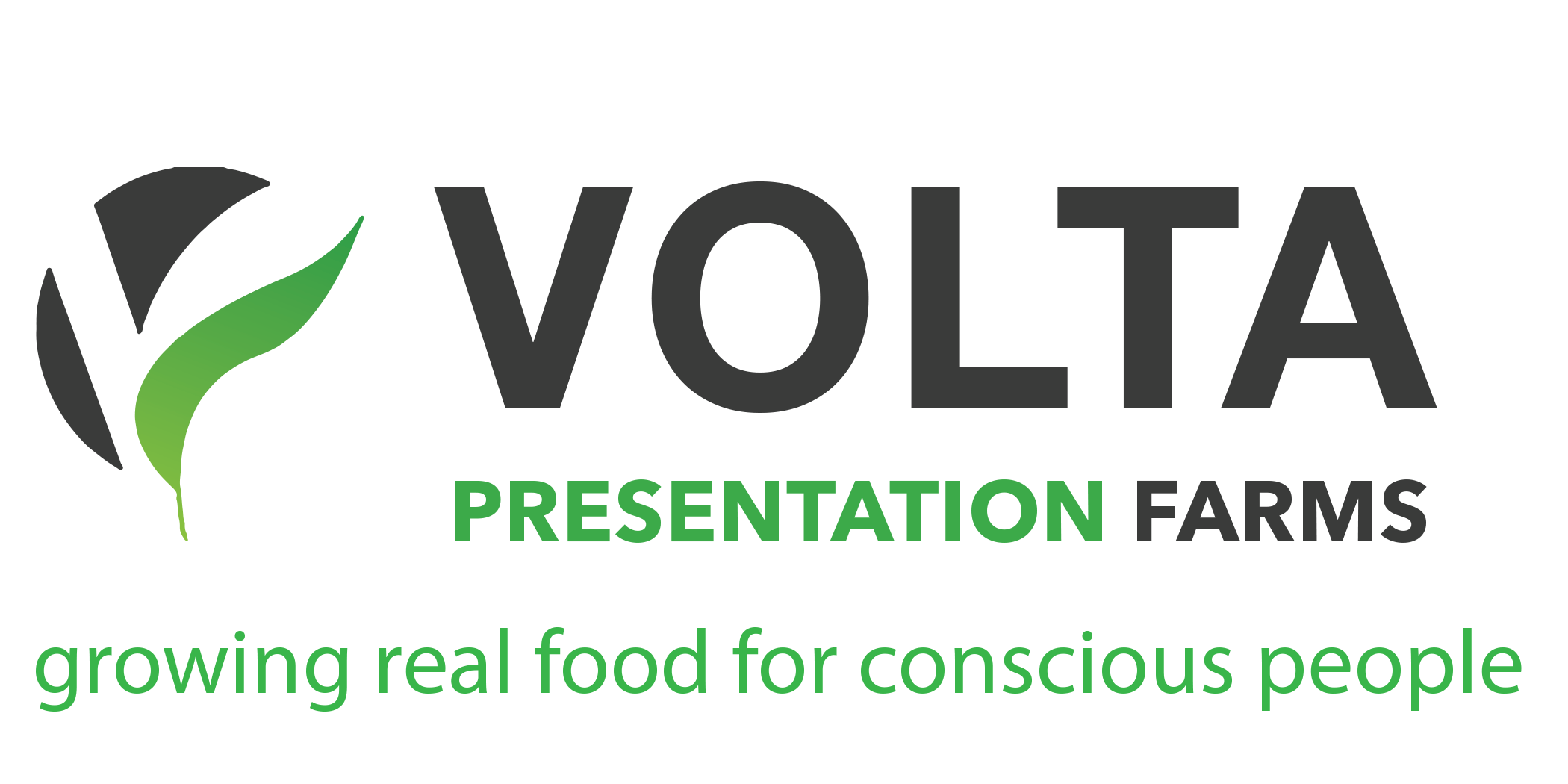 VOLTA PRESENTATION