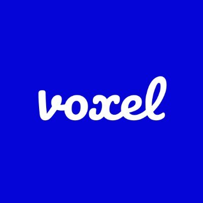 Voxel Group