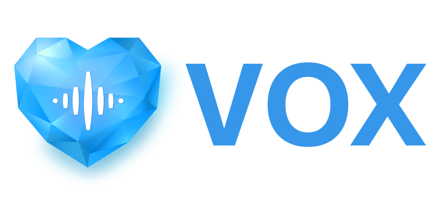 LLC Voxter