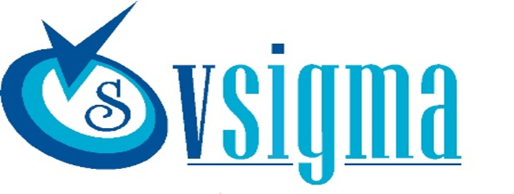 VSigma IT Labs Pvt