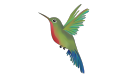 Wanderinghummingbird