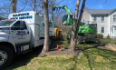 Warwick Tree Service