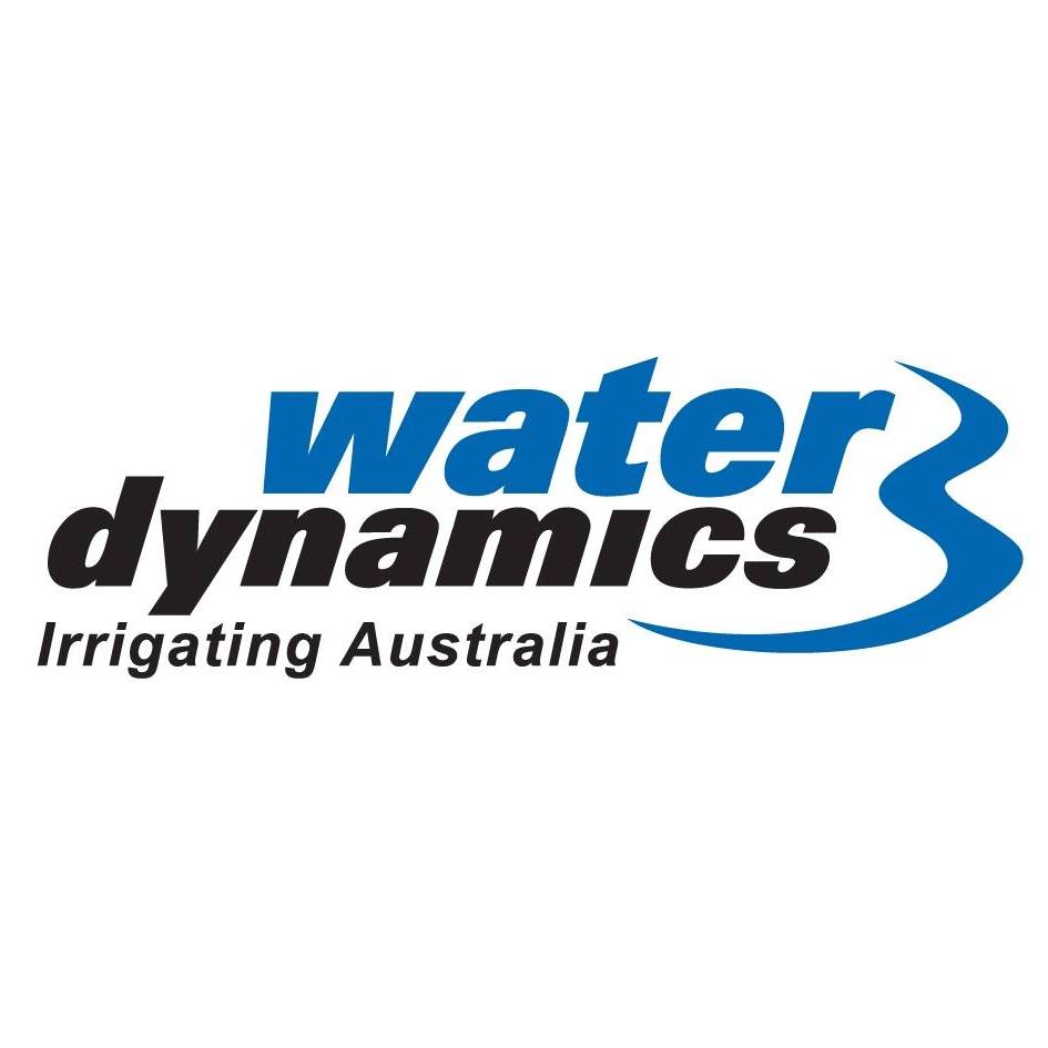 Water Dynamics