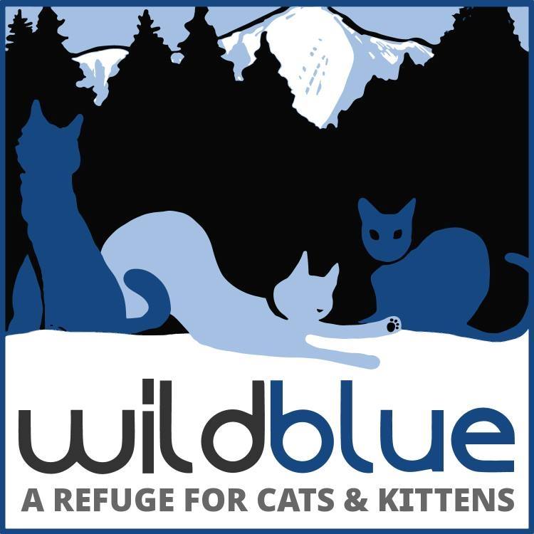 Wild Blue Cats