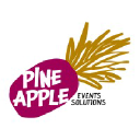 Pineapple Events Solutions