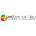 Web Consulting