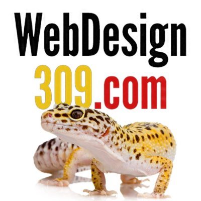 Webdesign 309