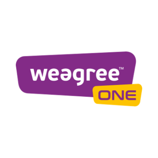 Weegree One   Humanoid Robots