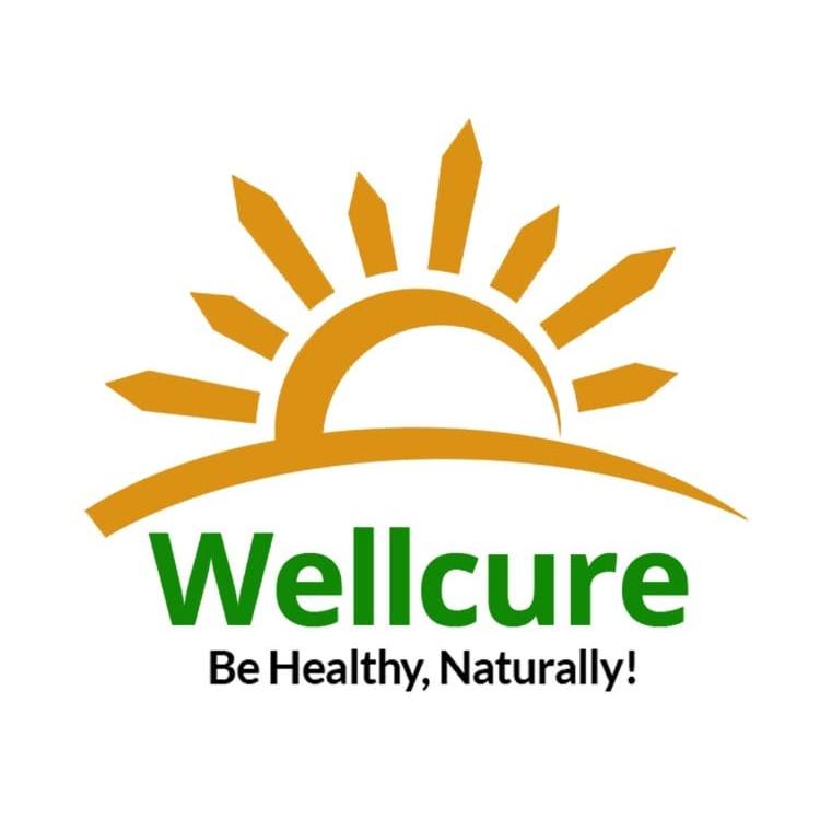 Wellcure Infotech Pvt