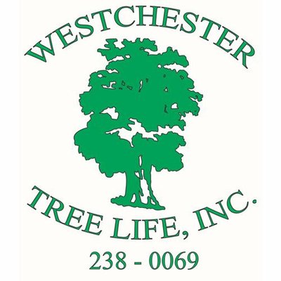 Westchester Tree Life