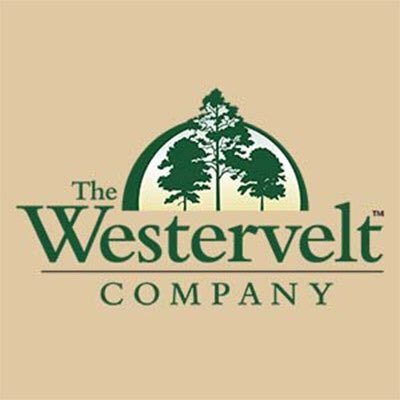 The Westervelt