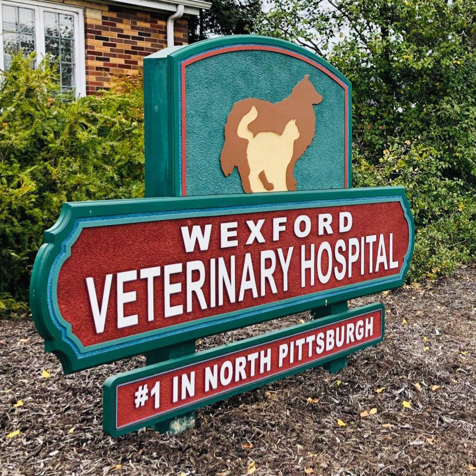 Wexford Veterinary Hospital