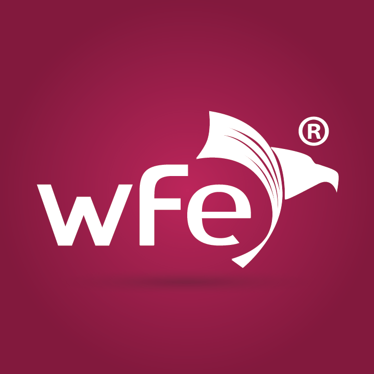 Grupo WFE