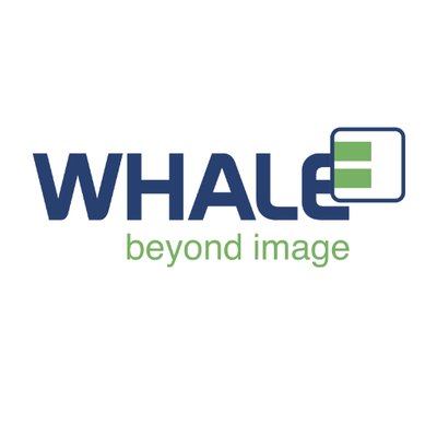 Whale Imaging
