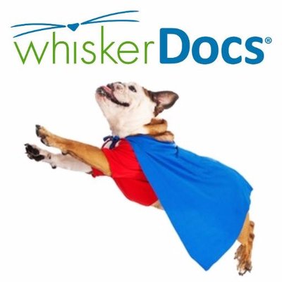 whiskerDocs