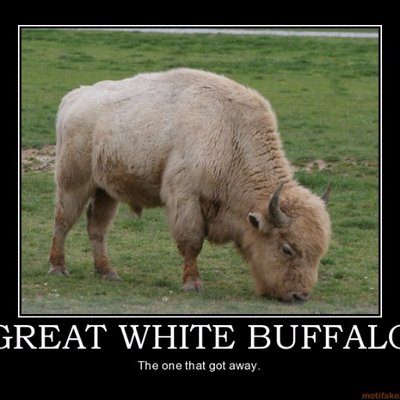 White Buffalo Environmental