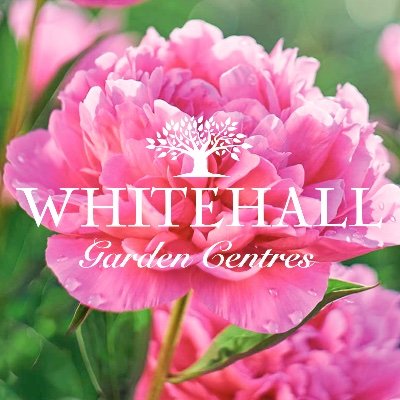 Whitehall Garden Centre