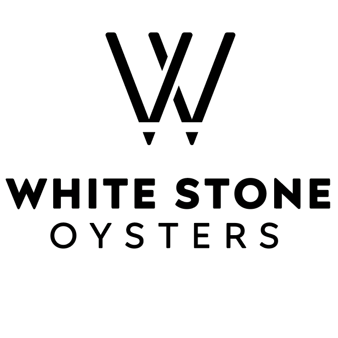 White Stone Oyster