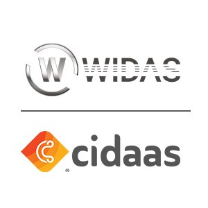 Widasconcepts India Private Limited