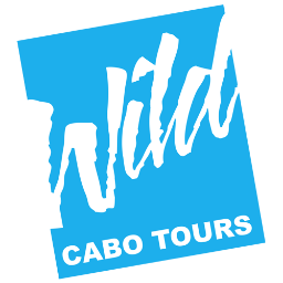Wild Cabo Tours