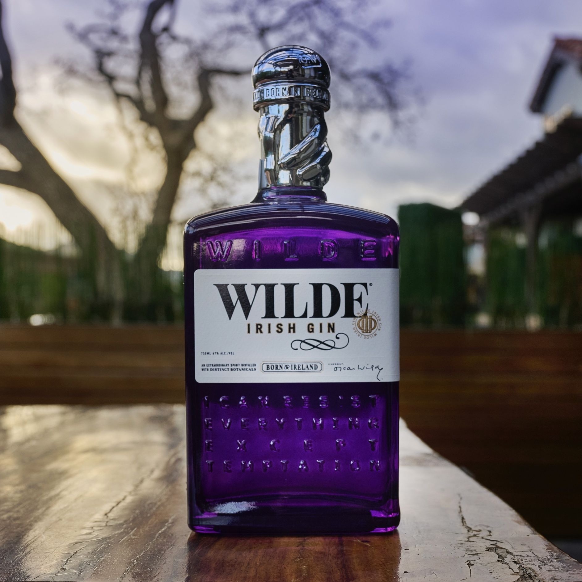 WILDE IRISH GIN