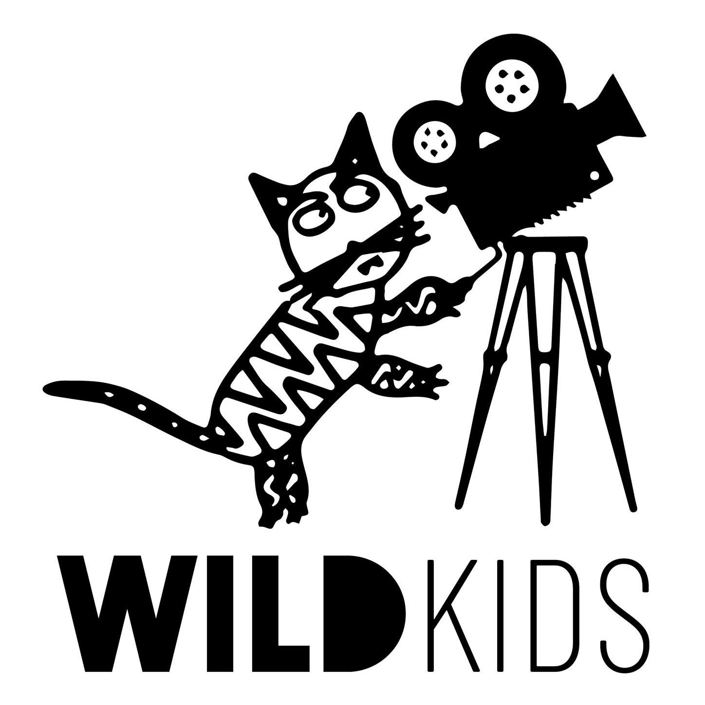 Wild Kids Animation Studio