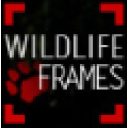 Wildlife Frames