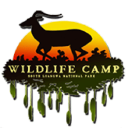 Wildlife Camp