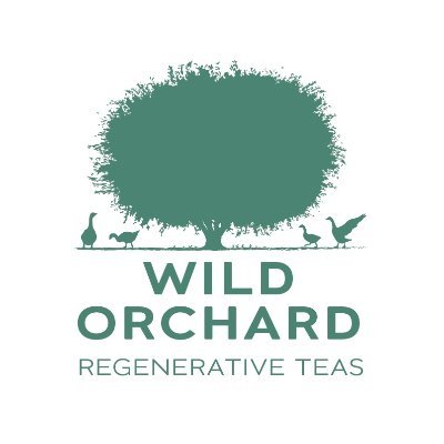 Wild Orchard Green Tea