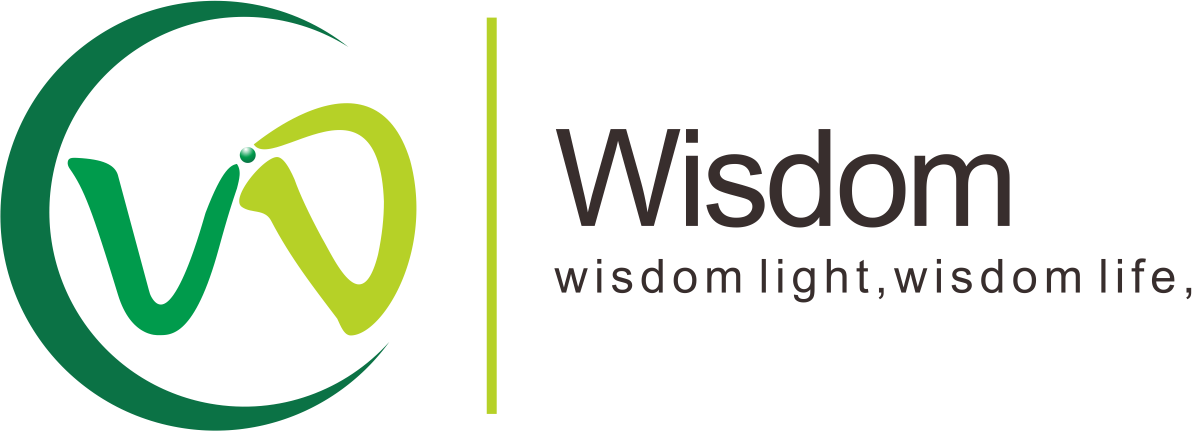 Wisdom Optoelectronics Technology