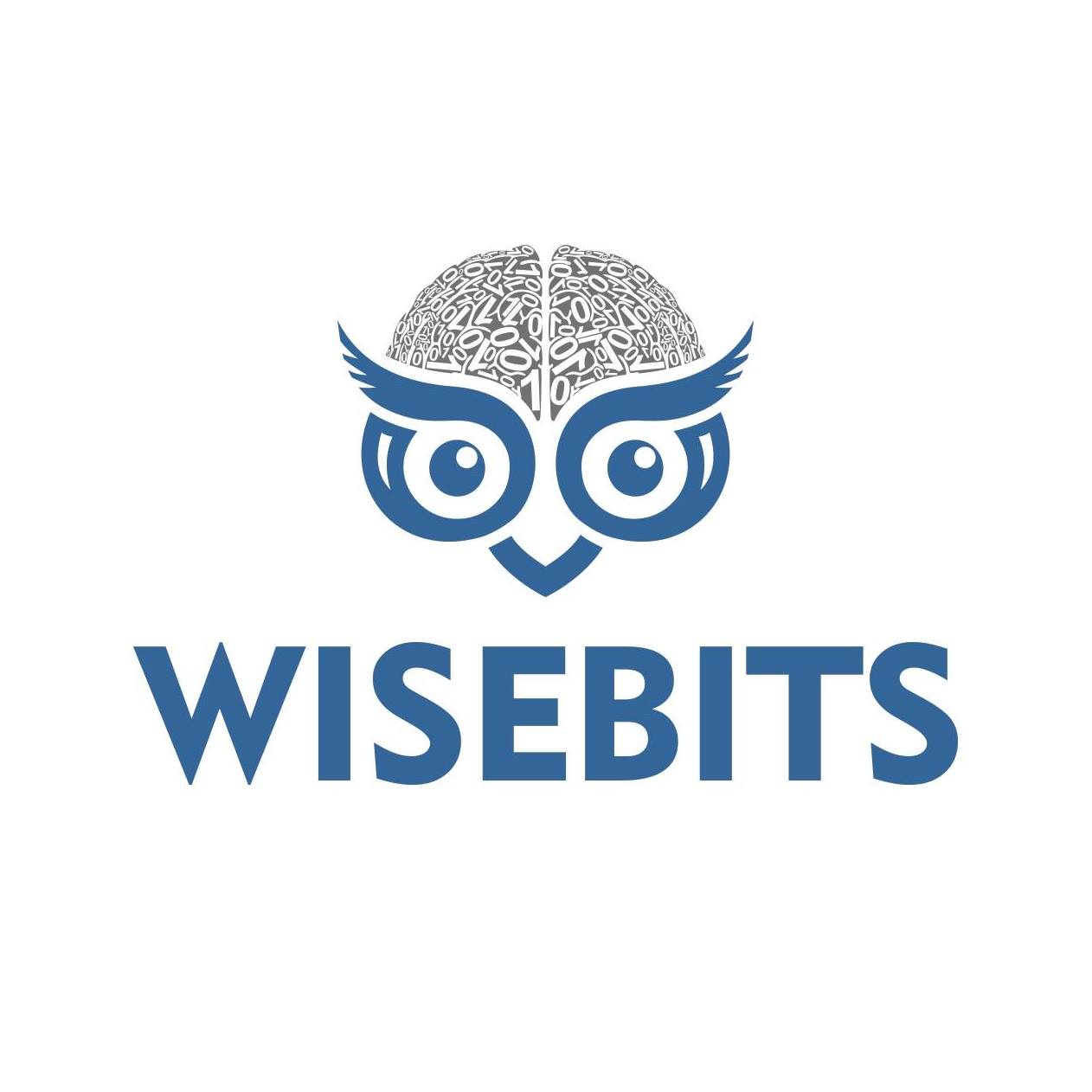 Wisebits