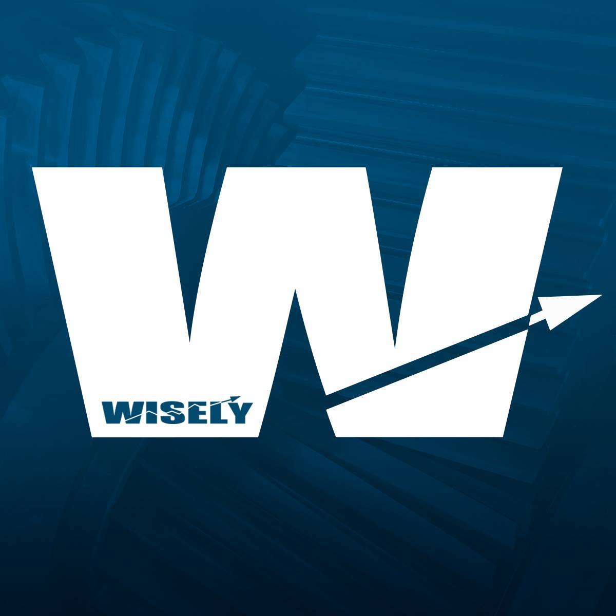 Wisely Group