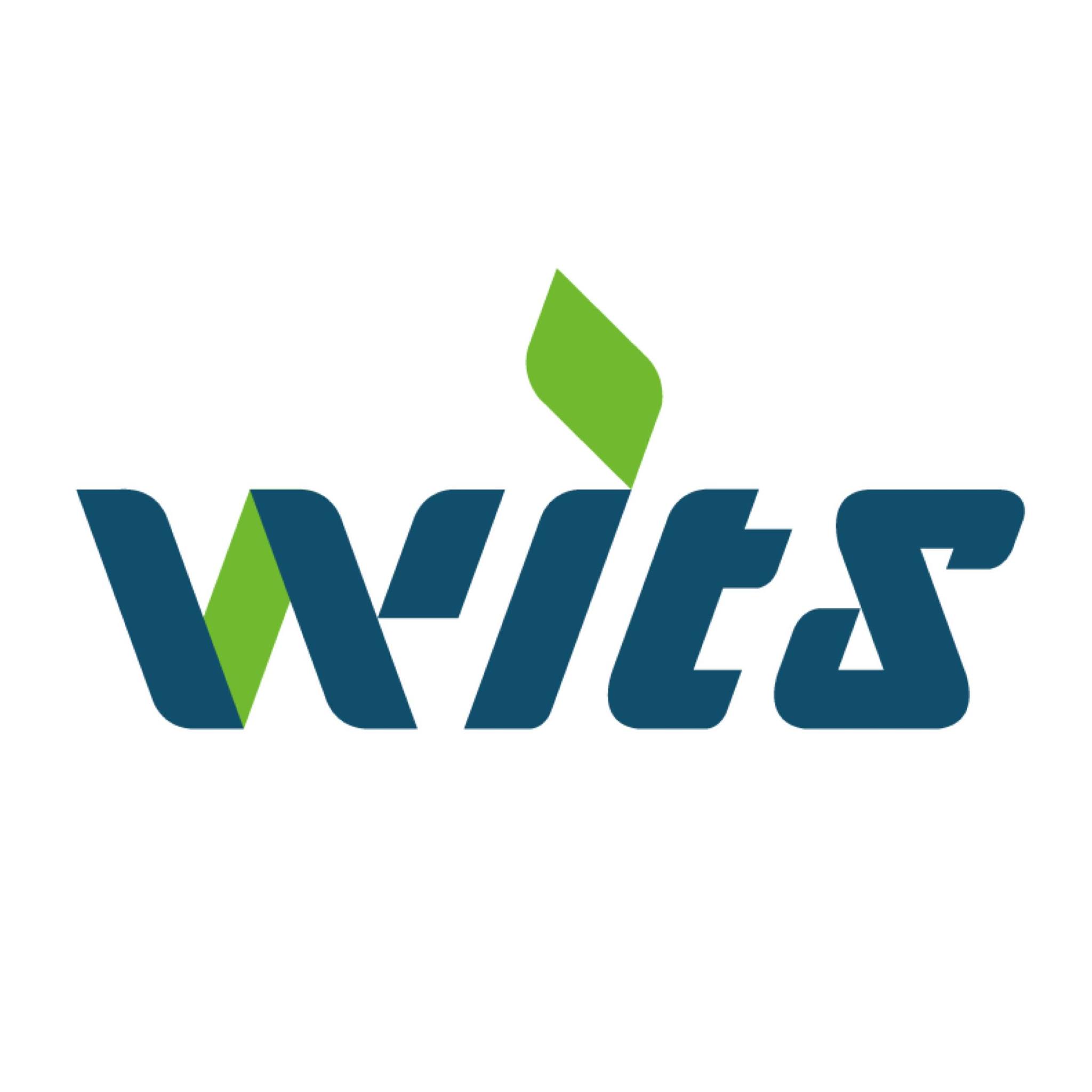 Wistron Information Technology & Services