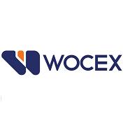 Fintech Wocex C.A