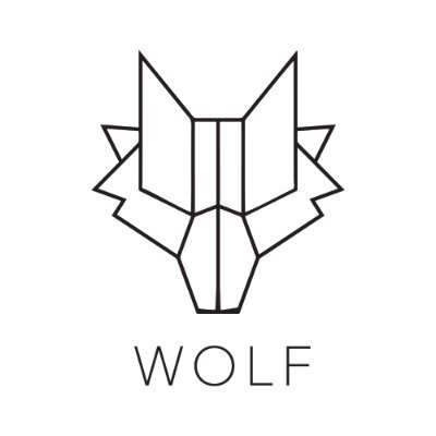 Wolf Agency Digital Marketing