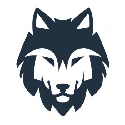 Wolfpack Systems, Inc.