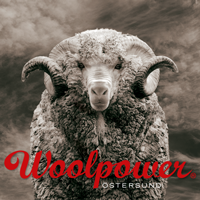 Woolpower