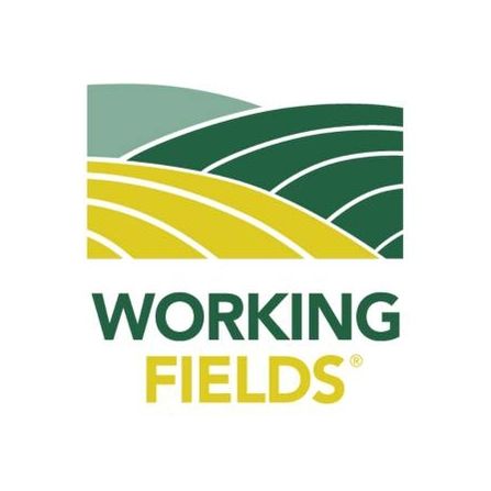 Working Fields