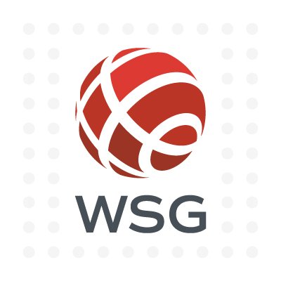 World Services Group