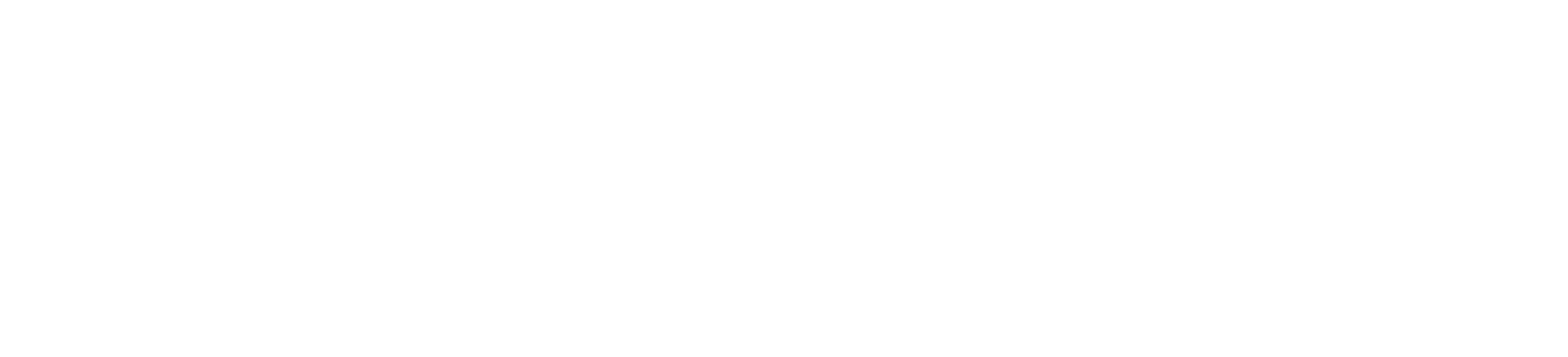 World Travel Protection