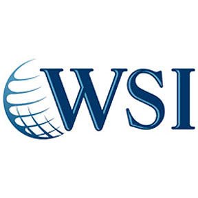 Wsi Internet Consulting