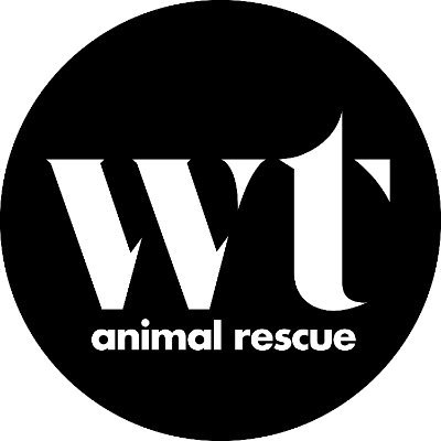 Wolf Trap Animal Rescue