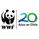 Wwf   Chile